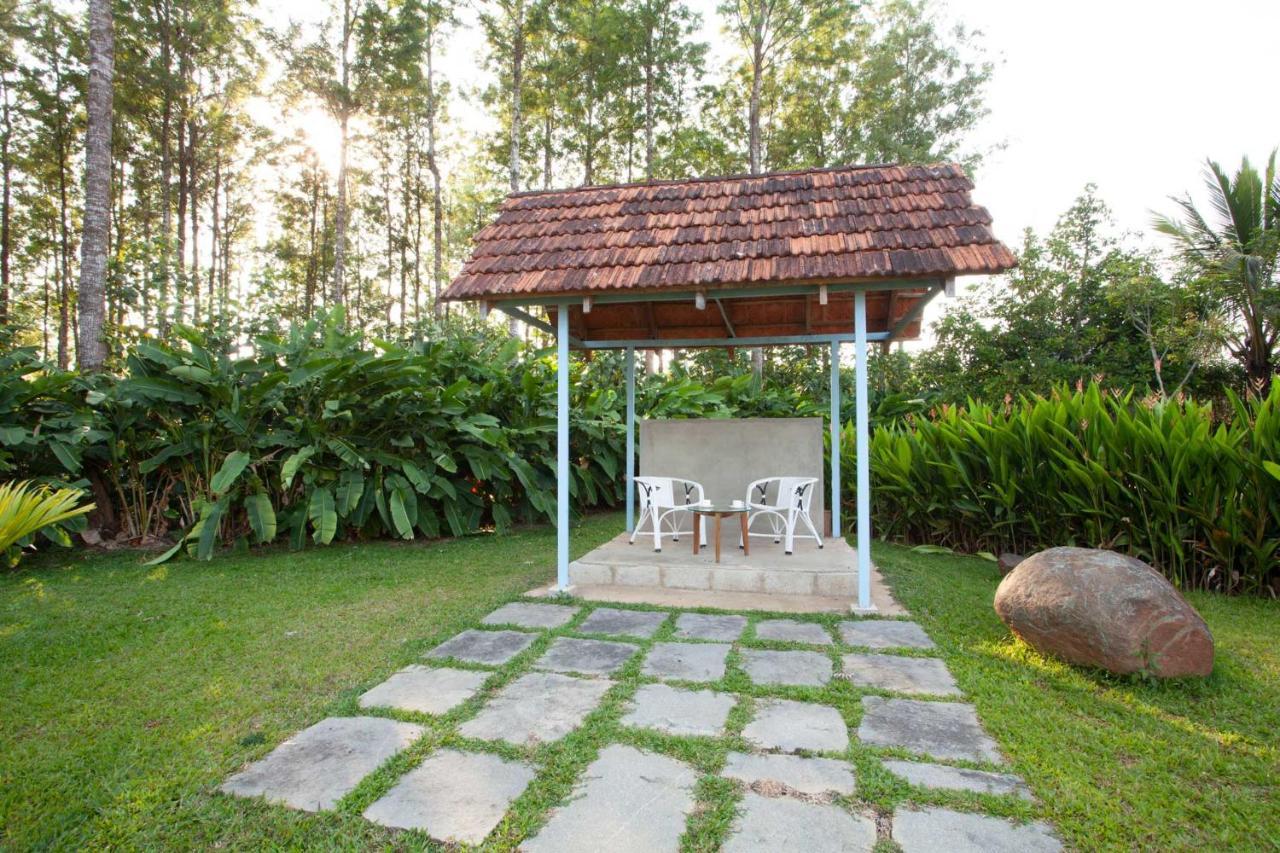 Stayvista At Cedar - Strelitzia 2Bhk With Breakfast And Jacuzzi Chikmagalūr Екстериор снимка