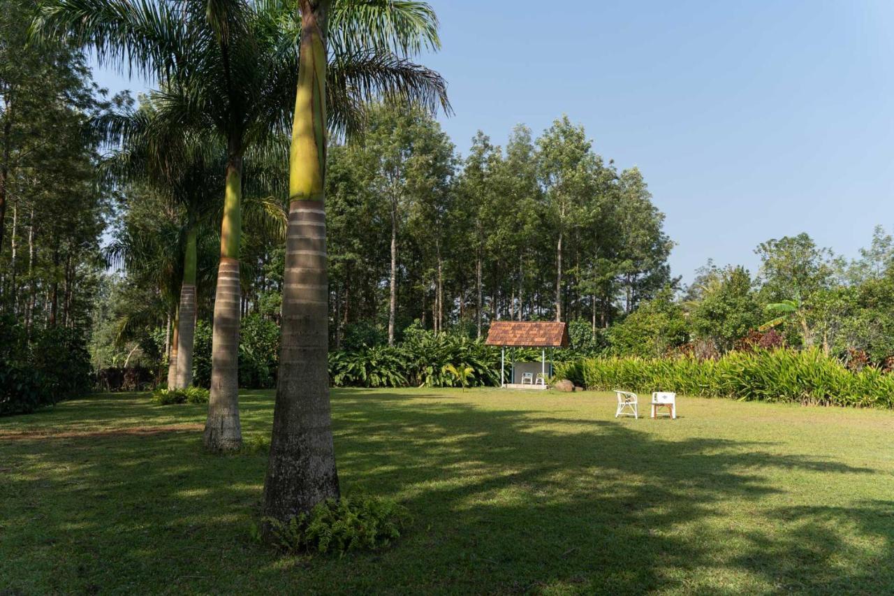 Stayvista At Cedar - Strelitzia 2Bhk With Breakfast And Jacuzzi Chikmagalūr Екстериор снимка